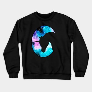 Galaxy Unicorn Head Silhouette Crewneck Sweatshirt